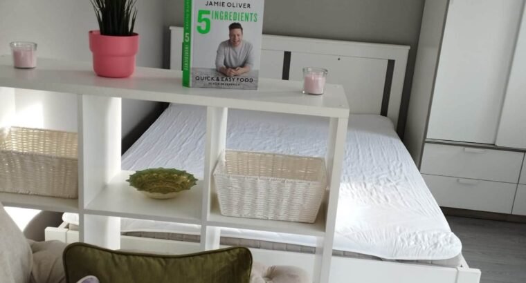 Newly Built Studio for Rent in Ashbour...