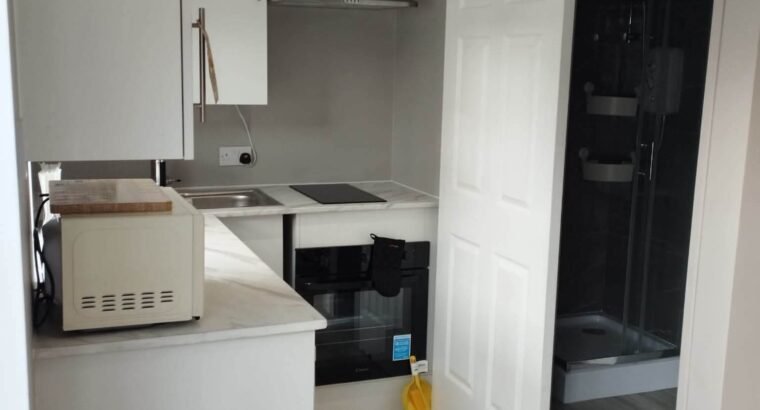 Newly Built Studio for Rent in Ashbourne, Co. Meath