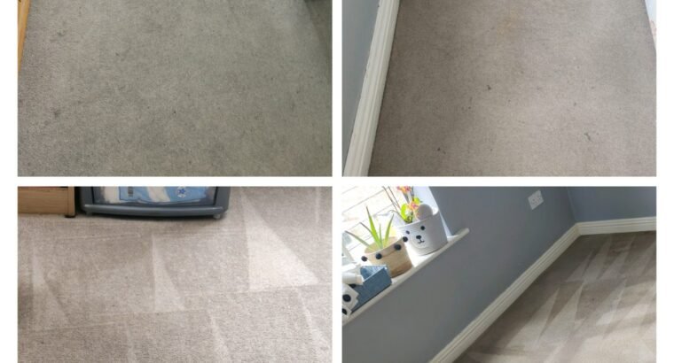 Professional Carpet & Upholstery Cleaning