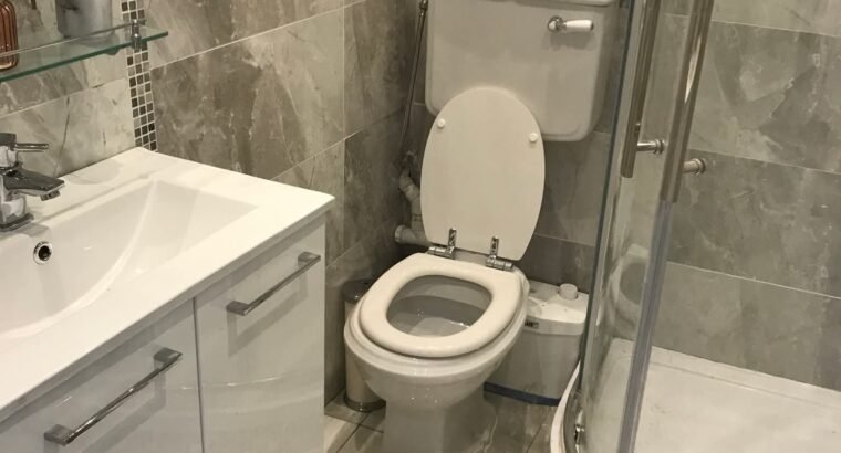 Refurbished Studio Apartment Dublin – €1,500/month
