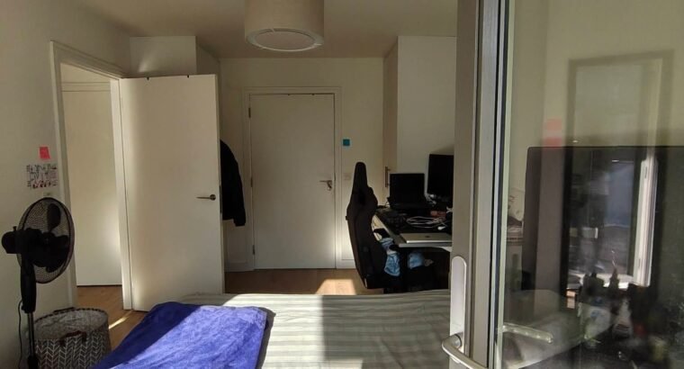En-Suite Room Available in Cherrywood – €1,271/Month.
